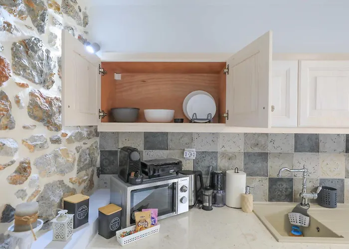 Το Πέτρινο Λουλούδι Της Ειρήνης *