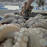 το πέτρινο λουλούδι της ειρήνης * Kalymnos Town