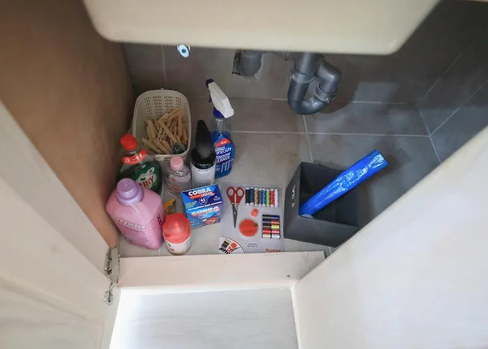 Το Πέτρινο Λουλούδι Της Ειρήνης